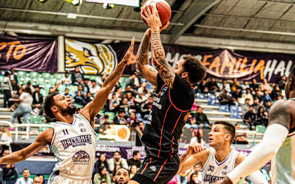 Lobos Plateados pierde ante Halcones