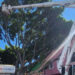 Continúa el retiro del árbol que cayó en el Barrio del Artista