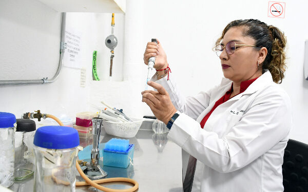 Alternativa de terapia anti-virulencia