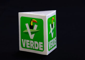 Descarta Gali que busque dirigir al PVEM