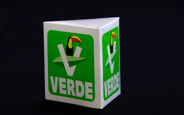 Descarta Gali que busque dirigir al PVEM