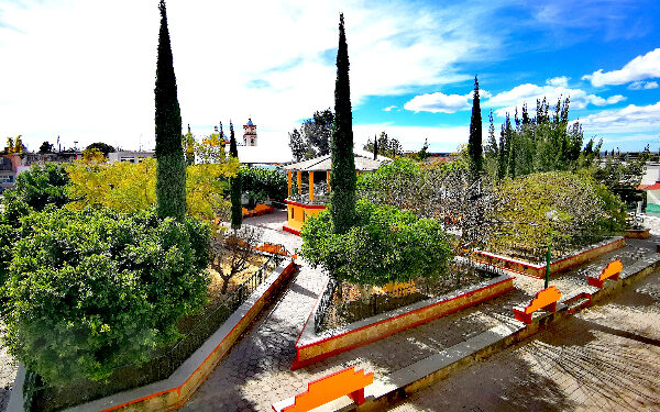 Capacitación a ciudadanos; aprenderán a podar árboles