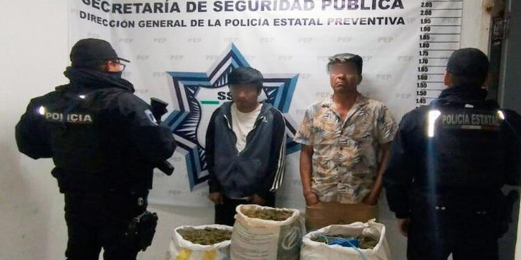 Hermano y sobrino del alcalde de Xicotlán son detenidos con 36 kilos de marihuana
