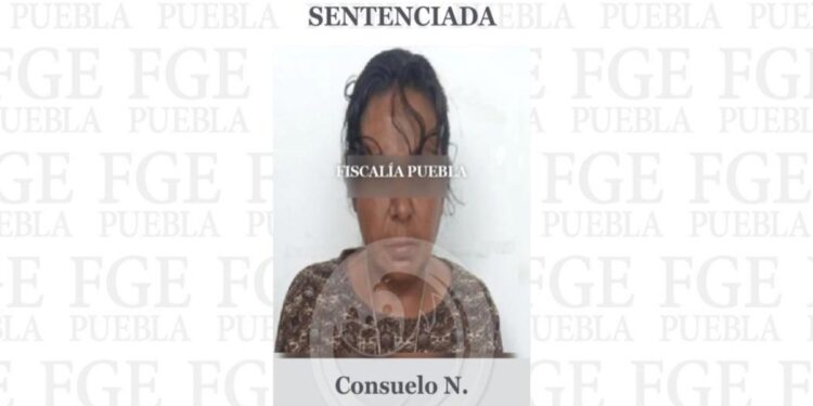 Condenan a “mata perros”