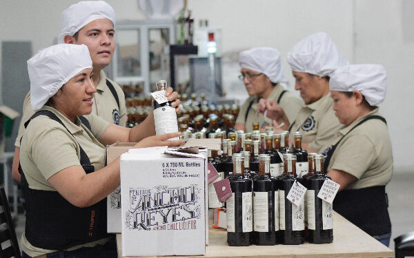 Crecen las mujeres en economía local