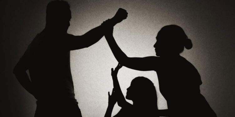Atiende Puebla capital 186 casos de violencia