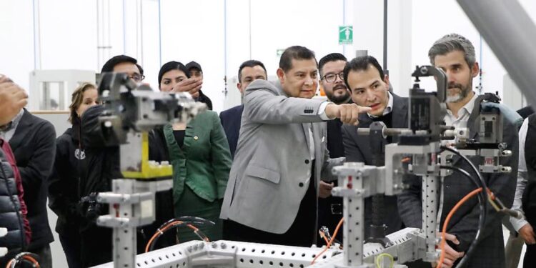 Apoya Puebla planta Olinia