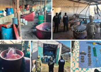 Golpe al narco en Puebla y Tlaxcala