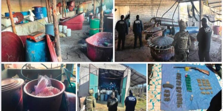 Golpe al narco en Puebla y Tlaxcala