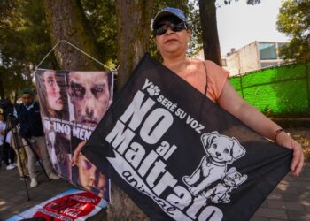 Crecen 53% quejas por abuso animal