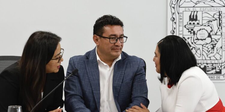 Revisan iniciativa, prevén avalar diputado migrante