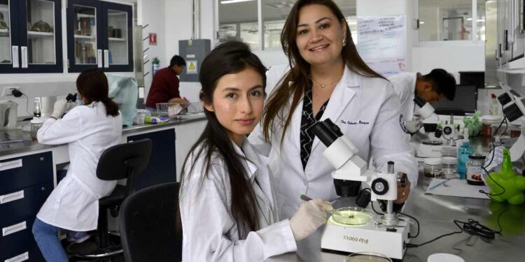 Estudia BUAP parásitos en cacomixtles