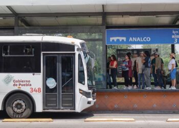 Registra RUTA 12 millones de usuarios más en un año