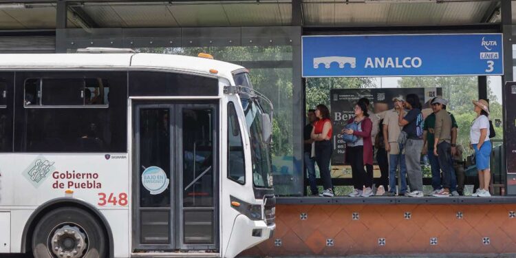 Registra RUTA 12 millones de usuarios más en un año