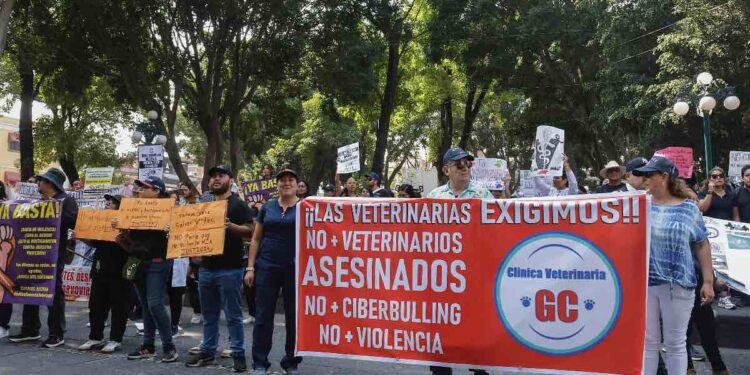 Veterinarios denuncian agresiones
