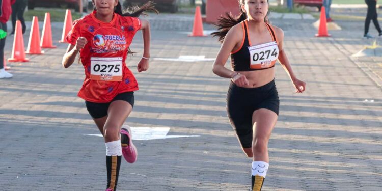 Puebla define equipos para Macroregional