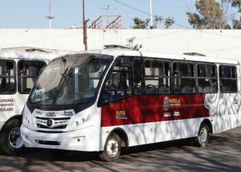 Se mantendrá gratuito servicio en Línea 4