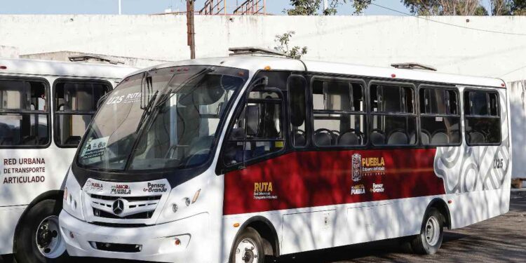 Se mantendrá gratuito servicio en Línea 4