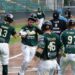 Liga Metropolitana de Beisbol AA tiene listo su calendario
