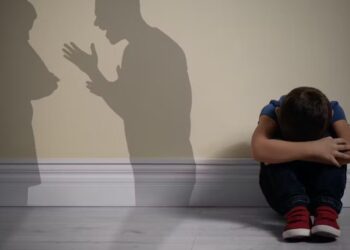 Puebla en quinto sitio en casos de violencia vicaria