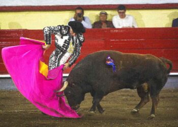 El fin de la tauromaquia: ¿Qué enseñanzas nos deja?