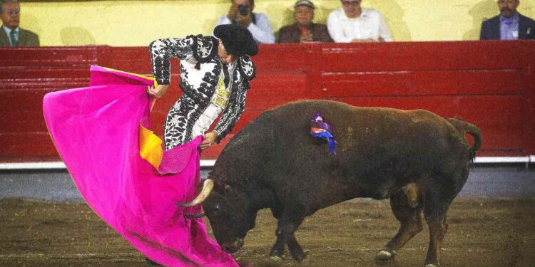 El fin de la tauromaquia: ¿Qué enseñanzas nos deja?