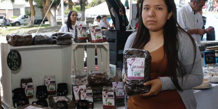 Buscan consolidar marca 5 de Mayo