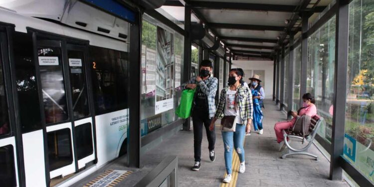 RUTA: 36 mil usuarios más que en 2024