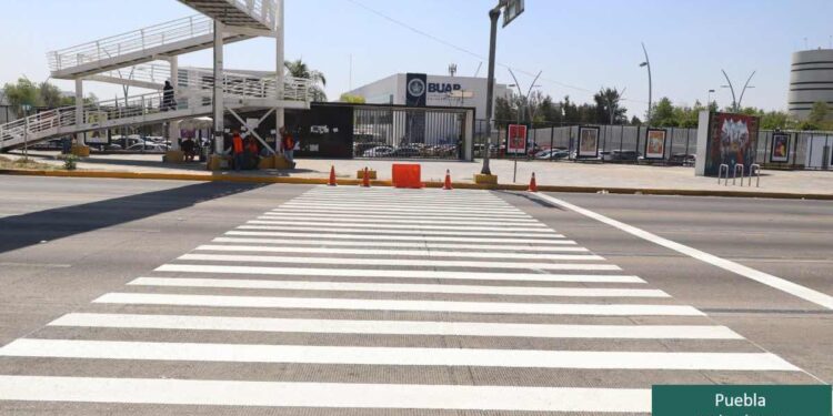 Piden organizaciones respeto a los peatones
