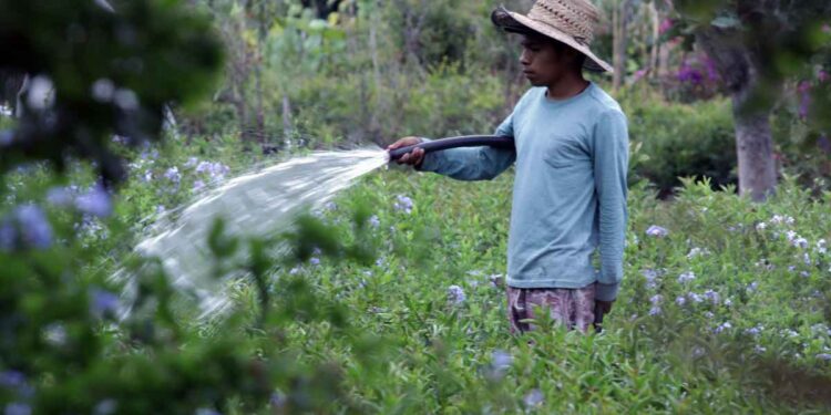 Agua, el recurso que urge cuidar