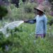 Agua, el recurso que urge cuidar