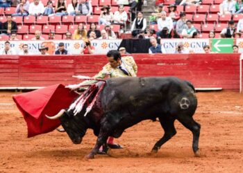 TAUROMAQUIA BAJA EN CALORÍAS