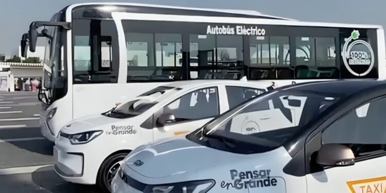 Transporte público será transformado en seis años