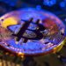 Detectan robo de energía de CFE por criptomonedas