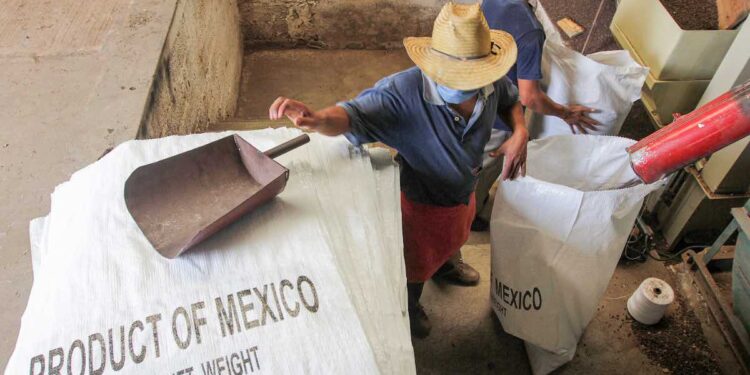 Lugar 11 nacional, con exportaciones por 4 mil 840 mdd