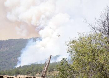 Sofocan incendios forestales en cinco municipios