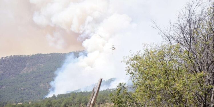 Sofocan incendios forestales en cinco municipios