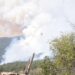 Sofocan incendios forestales en cinco municipios
