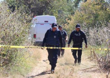 Detectan 11 cuerpos sin vida durante el mes