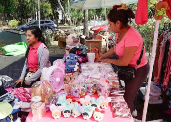 Mujeres ganan 18% menos que hombres en Puebla