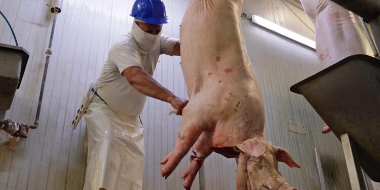 Seguirán revisiones a carnicerías