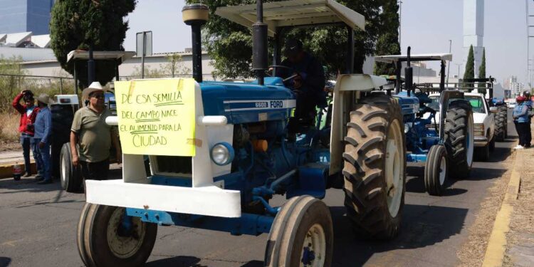 Campesinos exigen al SAT devolución de 220 mdp