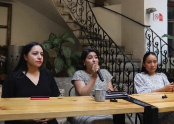 Proponen registro de hijos de víctimas de feminicidio