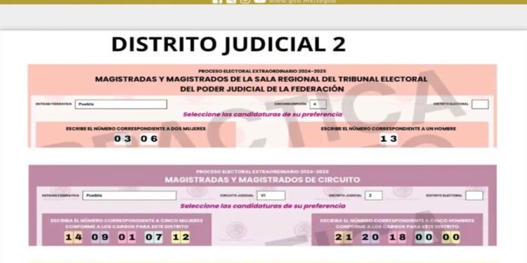 EL ACORDEÓN JUDICIAL Y LA GROTESCA FARSA