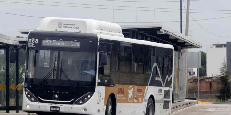 Sanitarios de RUTA serán concesionados