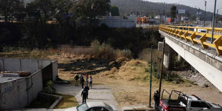 Donan a gobierno tres hectáreas para casas