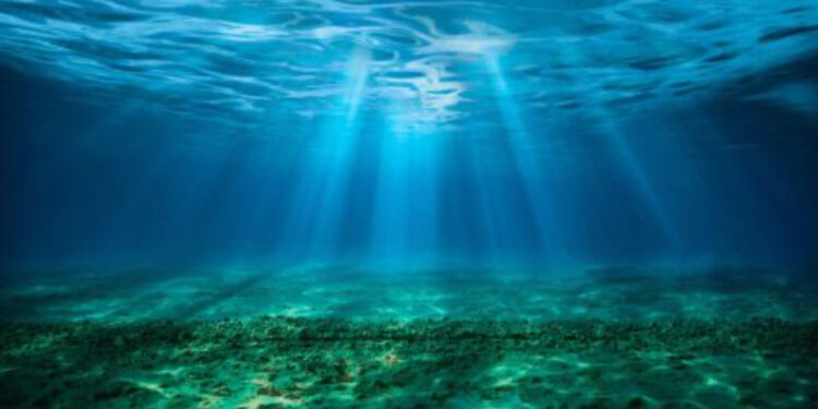 Oscurecimiento oceánico, implicaciones para los ecosistemas marinos y terrestres