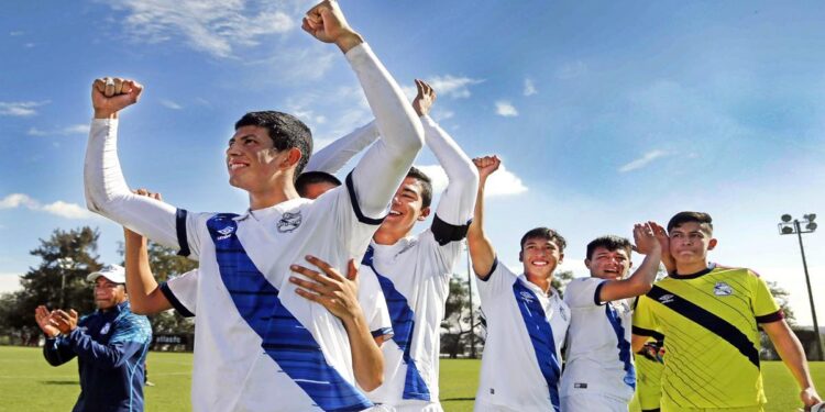 Anuncian creación de escuela de Fuerzas Básicas