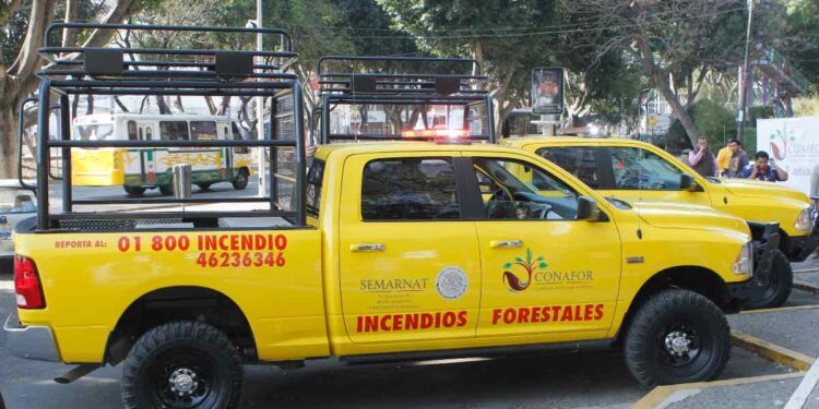 En seis meses, 299 incendios forestales