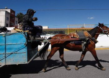 Texmelucan dice “no” a caballos carretoneros